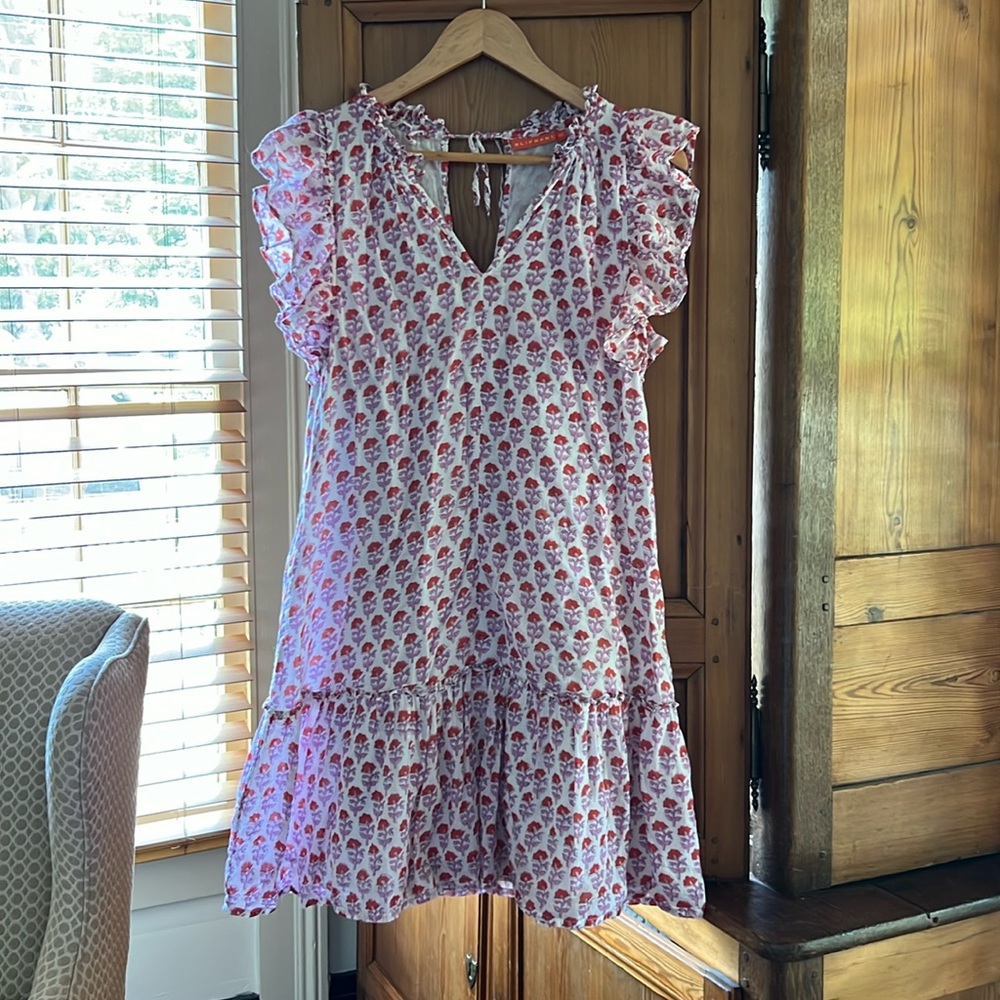 Oliphant Floral Ruffle Mini Dress in Pink and White